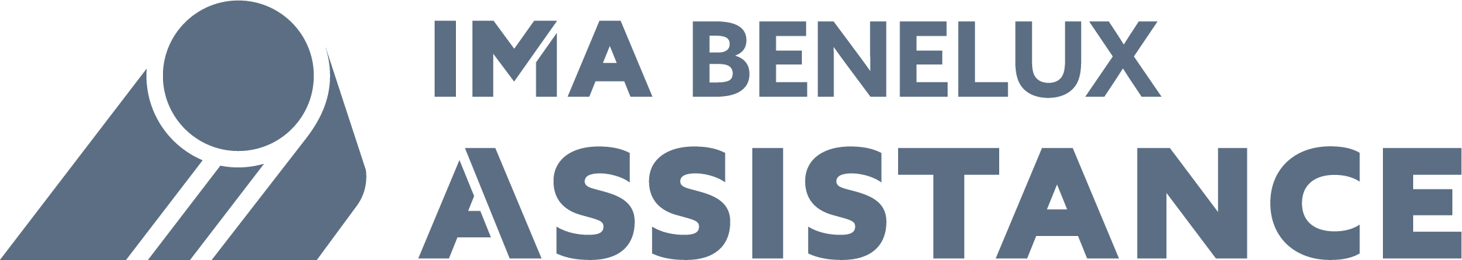 logo IMA Benelux gris