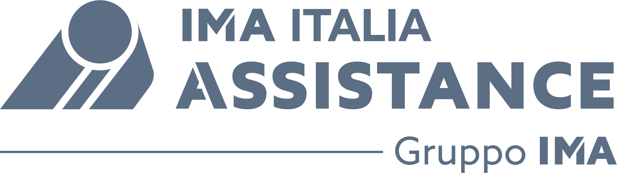 logo IMA Italia gris