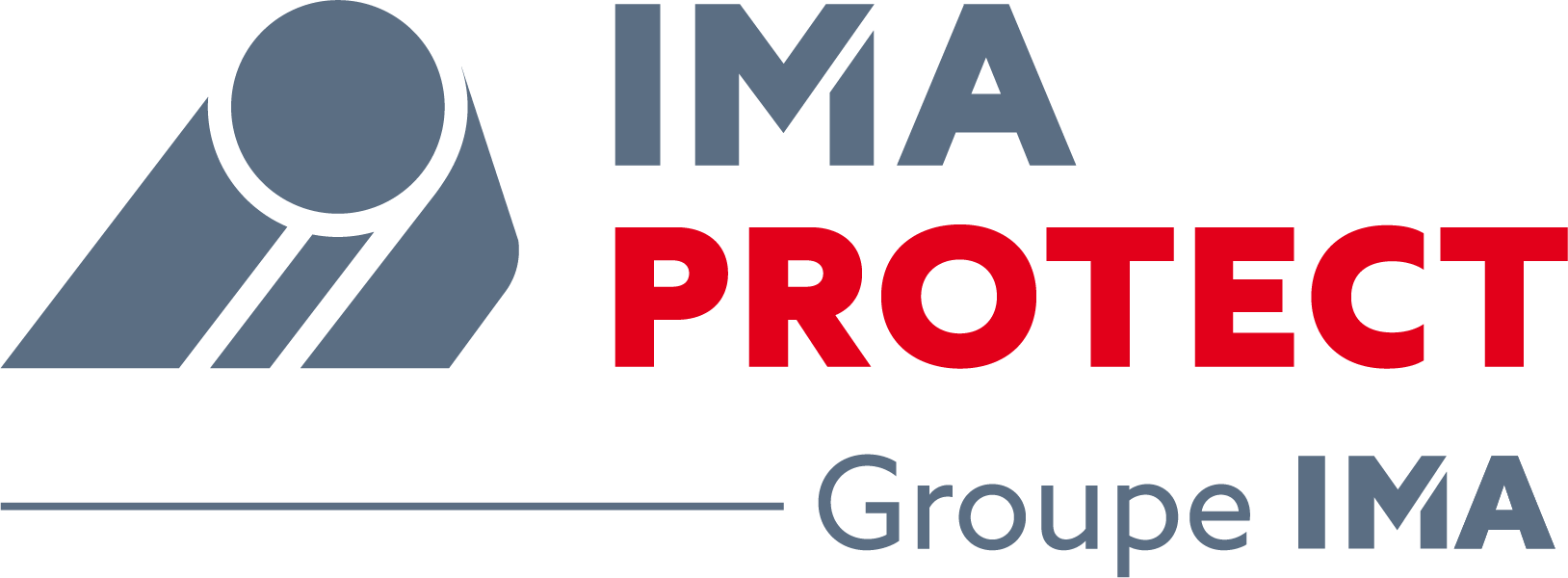 logo IMAPROTECT GRIS